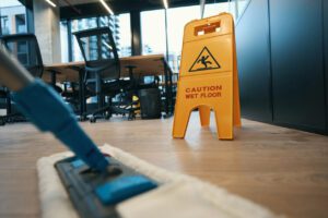 Professional Cleaning