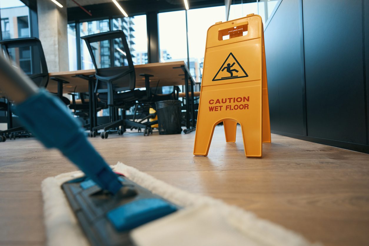 Professional Cleaning